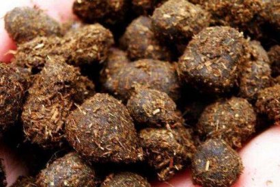 羊糞中出現未消化的飼料是什么原因造成?