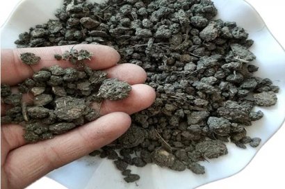 少量羊糞的發酵方法？