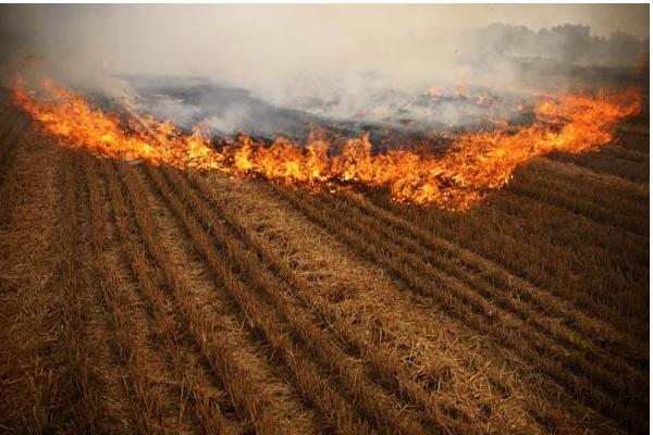 秸稈禁止焚燒后怎么處理