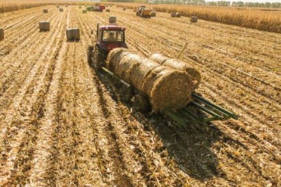 2019年秸稈利用補貼能補多少錢？