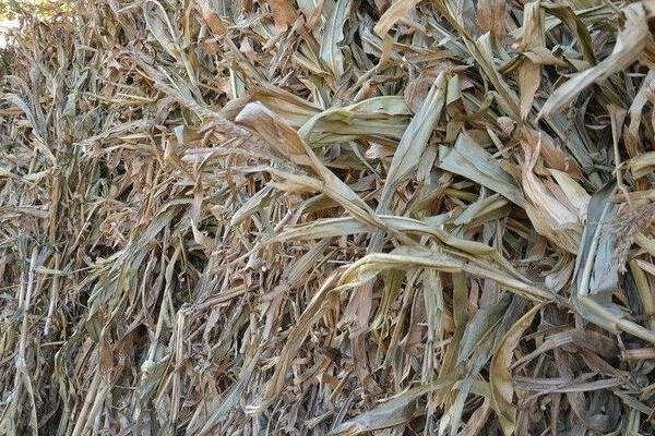 秸稈沼氣發酵原料預處理