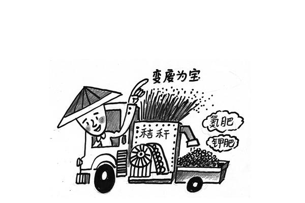 秸稈飼料營養成分