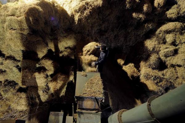 制作秸稈飼料方法