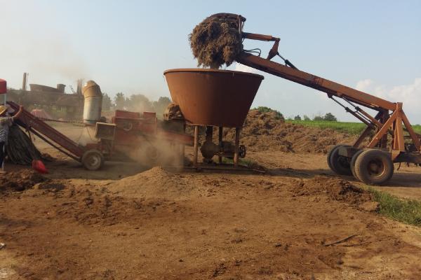怎么制作優(yōu)質(zhì)秸稈飼料
