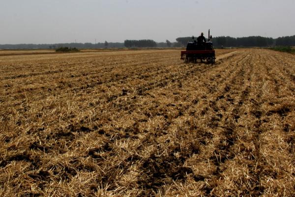 小麥秸稈發酵有機肥的方法