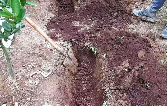 如何判斷豬糞是否充分腐熟發(fā)酵