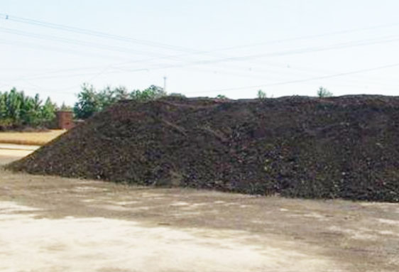 發酵豬糞的簡單方法，需要使用哪種發酵劑？