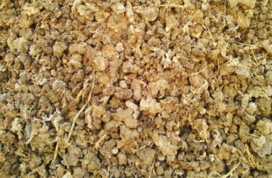 在雞糞堆肥發酵制作有機肥過程中如何提高發酵效率？