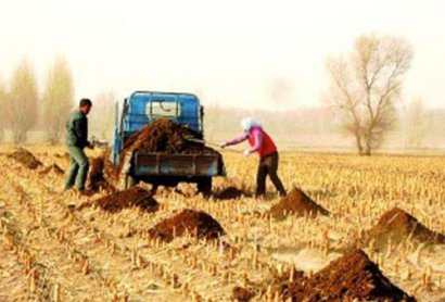 未來我國在豬糞利用方面的趨勢是什么？