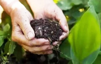 羊糞發(fā)酵制作有機(jī)肥工藝技術(shù)