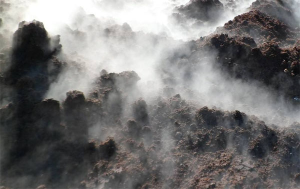 哪些因素會影響有機肥發酵？