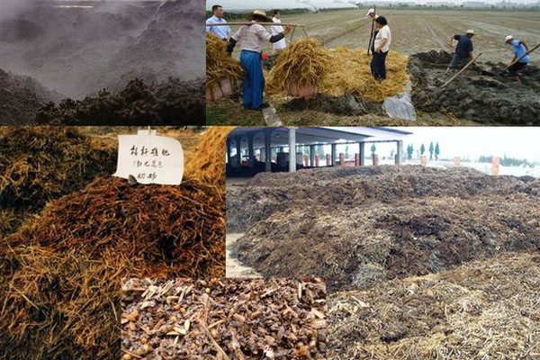 秸稈堆肥發(fā)酵技術(shù)
