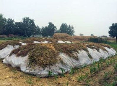 冬季堆肥發(fā)酵需要注意哪些？