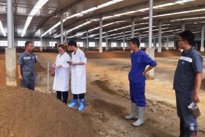 有機肥堆肥發酵需要多少天，要經歷幾個階段？