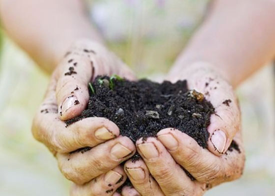 雞糞堆肥發酵生產有機肥的方法，需要經過哪些階段？