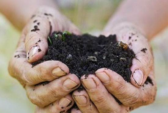 雞糞堆肥發(fā)酵有機肥料技術！