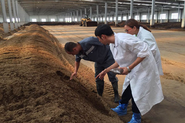 有機肥堆肥發酵需要經歷哪四個過程