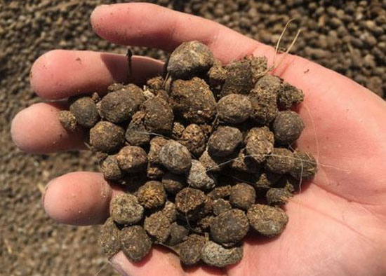 使用羊糞發(fā)酵制作有機(jī)肥工藝技術(shù)